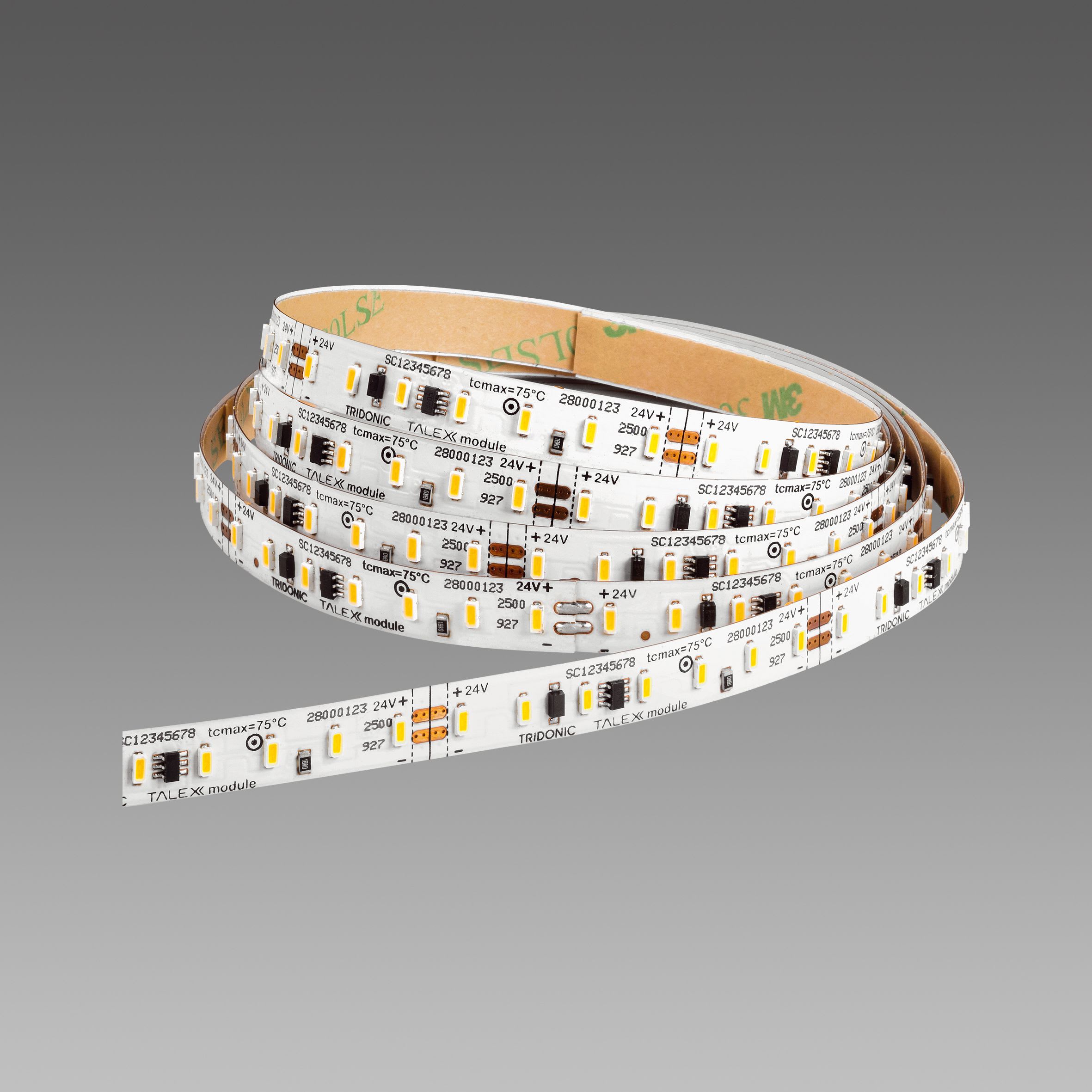 Fosnova - BANDE LED 6W 6500K L=5M CRI90 120D 600lm/m