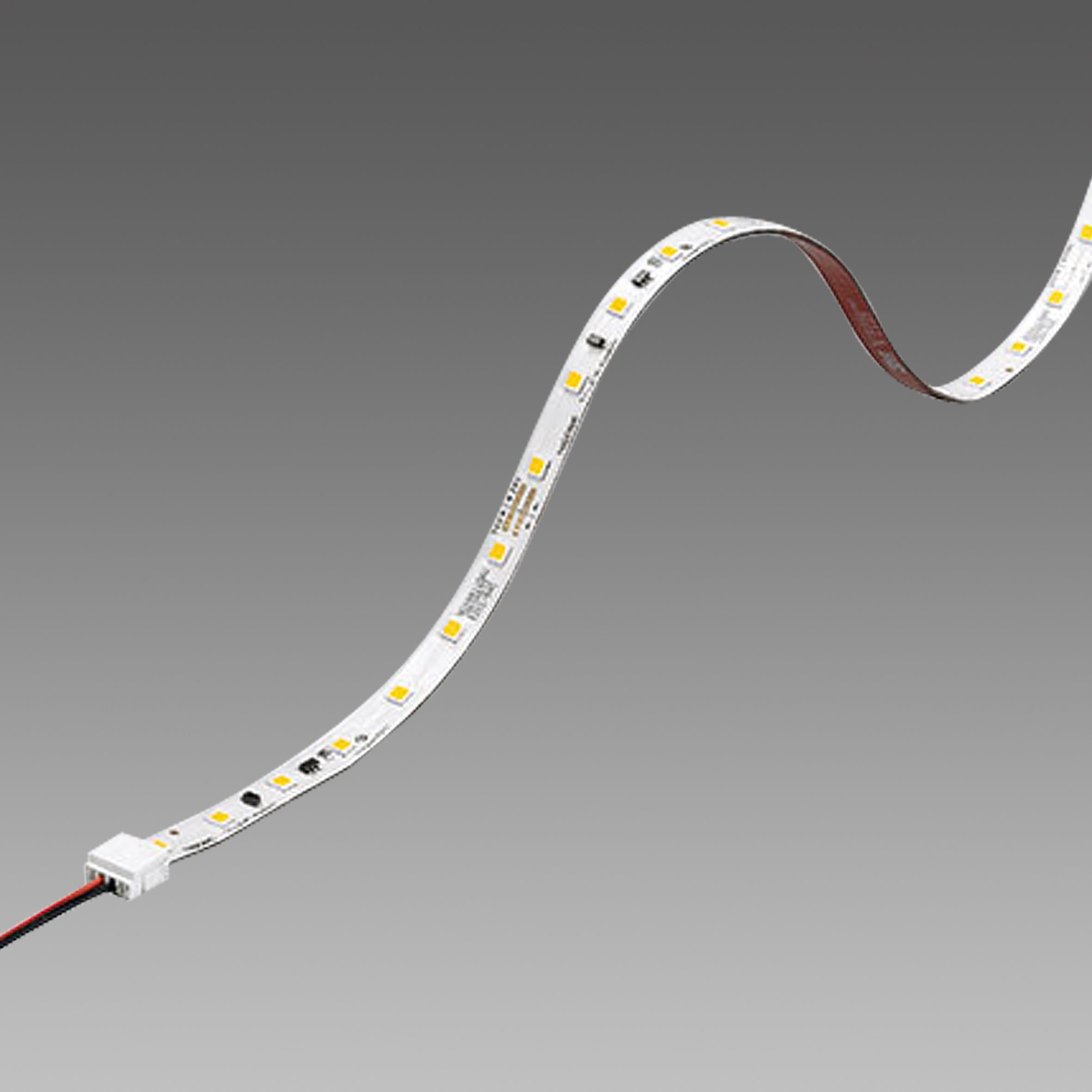 Fosnova - STRIP LED 11W S+L Ip20 1800lm 6500K 120D L=4,8M