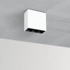 Fosnova - SPOT M3 plafonnier Led 8W blanc Ip40Ik07 642lm 3000K 20D