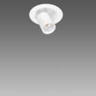 Fosnova - ASSO D Small 13W blanc dali Ip20Ik07 1455lm 3000K