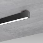Fosnova - LISET 2.0 Tw 40W noir Led dali Ip40Ik07 3732lm 2700-6500K
