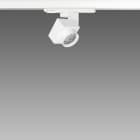 Fosnova - FOCUS 5.0 Led Cob DIP SWITCH 14W 4000K 1216lm CRI92 FS 4000K 1165lm FL blanc