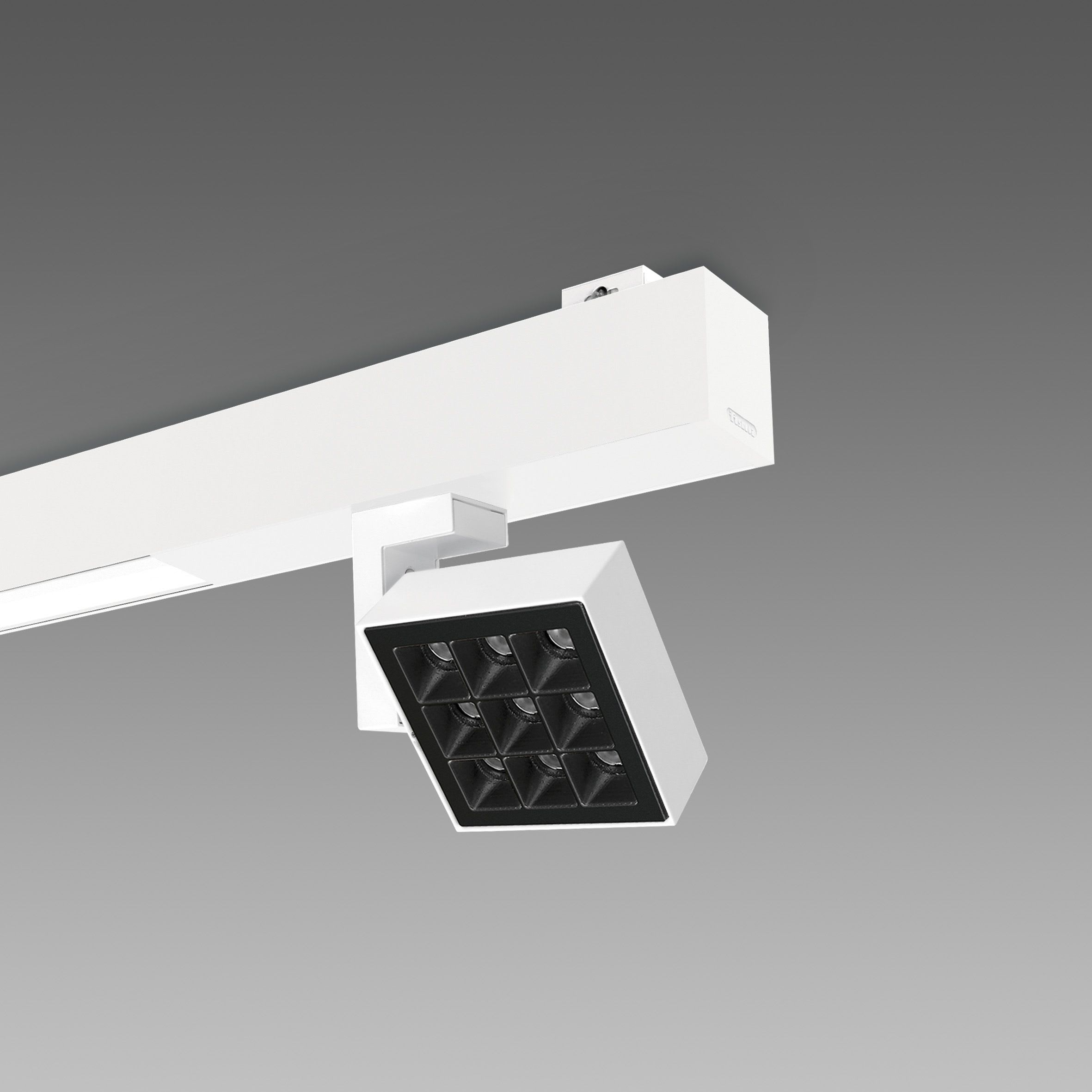 Fosnova - LISET 2.0 Led Dig Dali 101W B+2S noir 4000K plafonnier