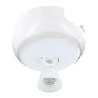 BLM - Point de centre DCL saillie pour moulure + piton + FD E27 Compacte