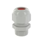 BLM - PE polyamide BASIC Pg13 (6-12mm)