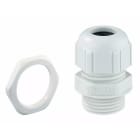 Spelsberg - KVR M25 LG-MGM - Presse-étoupes M25 gris avec contre-écrou