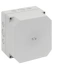 Spelsberg - TK PS 1818-13f-m*Bte.+estampages-Polystyrène gris-182x180x137 mm