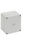 Spelsberg - TK PS 1313-7-m*Bte.faces lisses-Polystyrène gris-130x130x99 mm