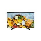 Hikvision - DS-D5032QE Moniteur 31.5, 1920 x 1080, 1 HDMI 1 VGA, 24-7