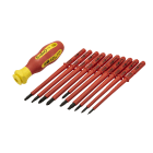 AGI Robur - Trousse tournevis lame interchangeable isolé 1000V. 10 lames plat, PH, PZ, Torx