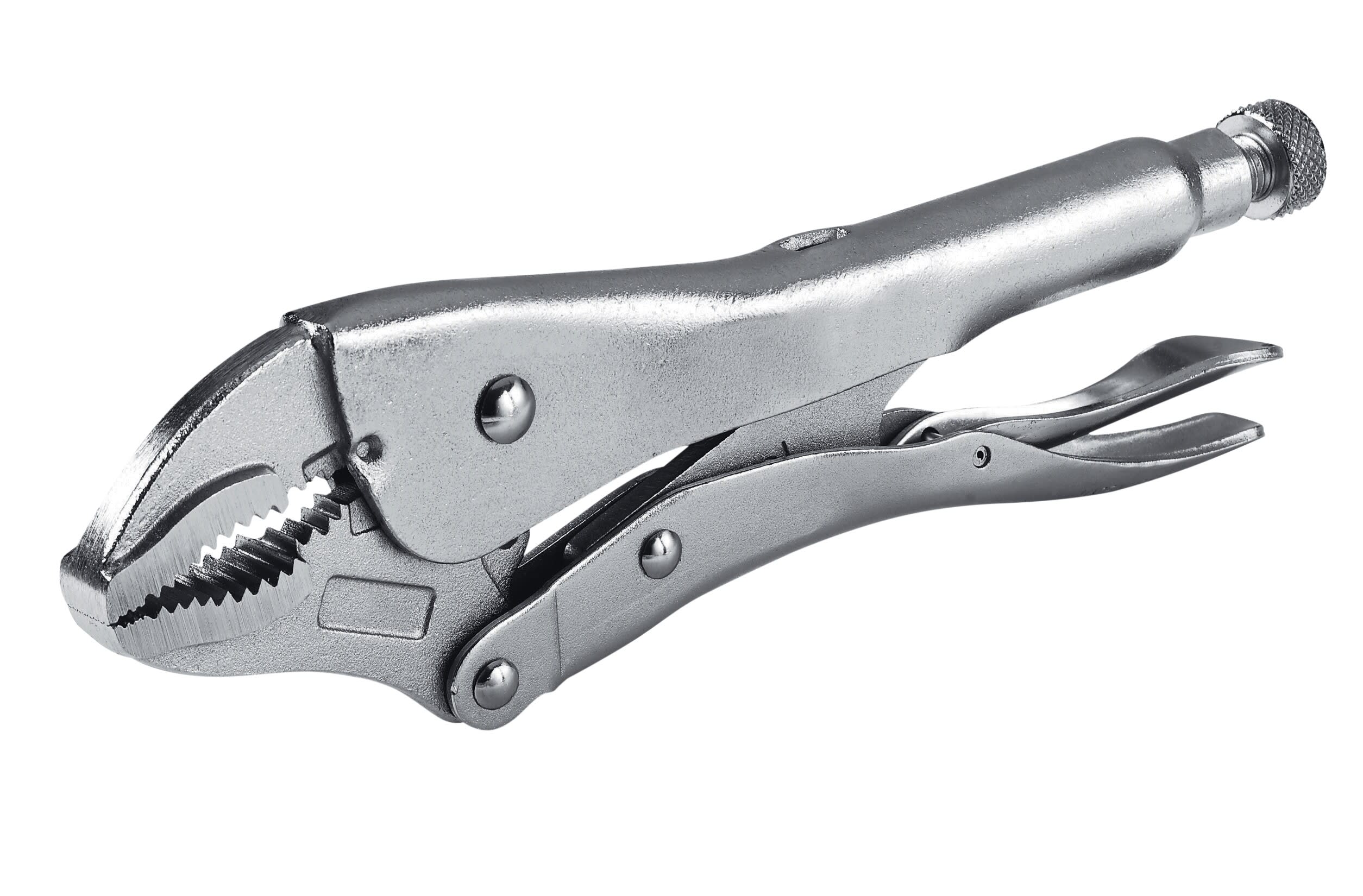 AGI Robur - Pince étau courbe longueur 250mm