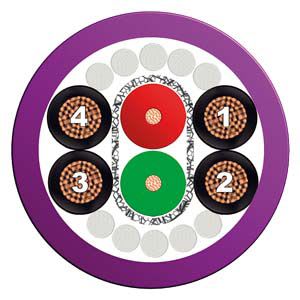 Siemens Industry - Câble PB ECOFAST, prééquipé 2 connect. ECOFAST 5m