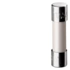 Siemens Industry - Fusibles de remplacement 12,5A pour le module interface (x10)