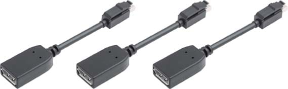 Siemens Industry - Adapt. miniDisplayPort - DisplayPort(3x)