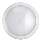 Be-Led - TF032-FOG-20W-IP66-IK10-WHITE-4000K-850°