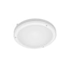 Be-Led - MILO-HUBLOT-2XE27-IK10-IP65-DETECT-BLANC