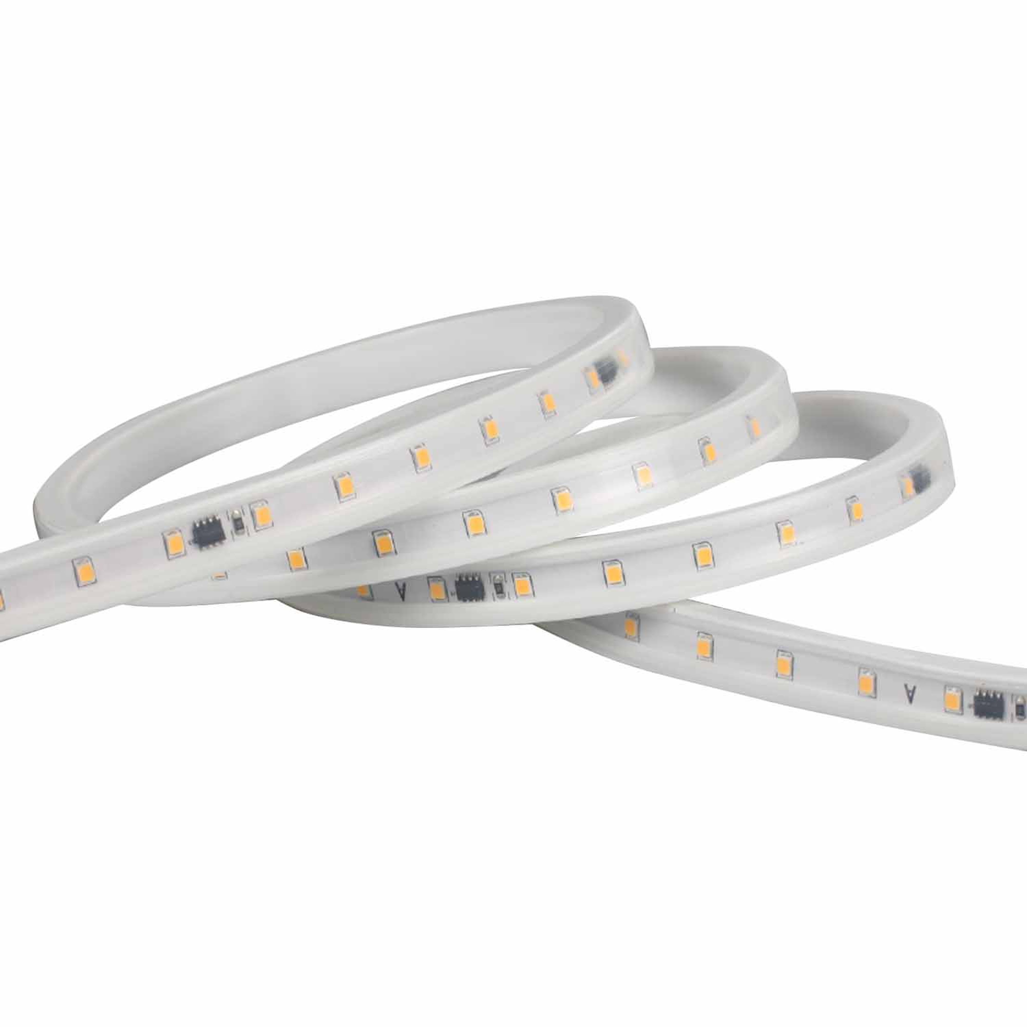 Be-Led - RUBAN 5M-19,2W/M-IP67-3000K-24V