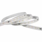 Be-Led - RUBAN 5M-19,2W/M-IP67-3000K-24V
