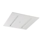 Be-Led - DALLE CONFORT 16-DALI-DETECT-HARVEST-MAITRE-600x600-24W-IP20-4000K