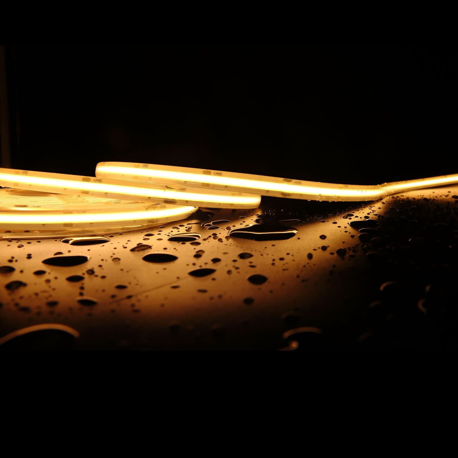 Be-Led - RUBAN COB HAUTE T°-125°-24V-8W/M-2700K-IRC90-IP67-5M