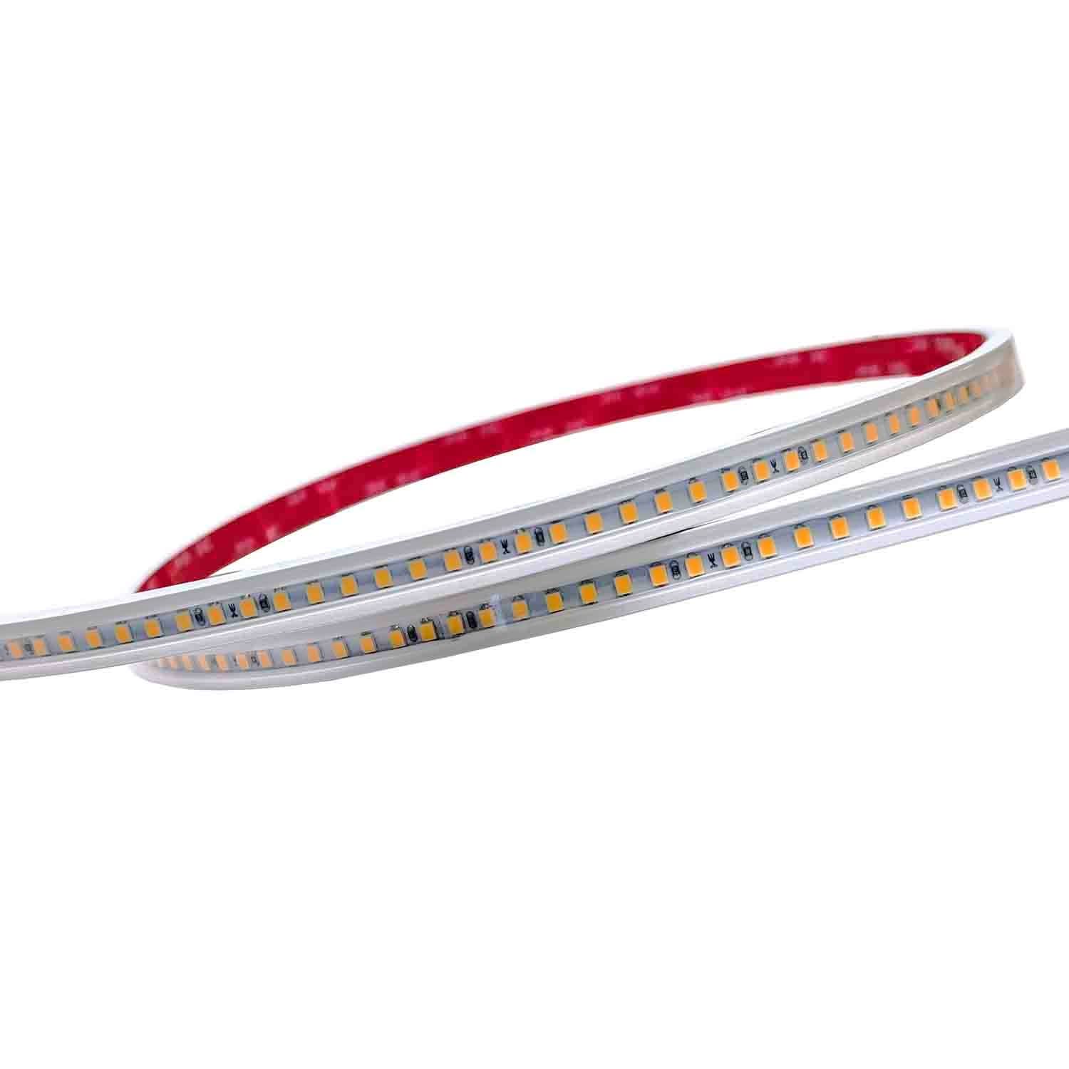Be-Led - RUBAN 5M-19,2W/M-IP67-3000K-24V