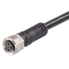 Molex - Capteur/Actionneur/Câble d?alimentation