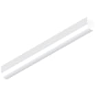 SLV - BATTEN P 1200 52, 830/840/850 blanc