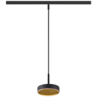 SLV - GRIP! FLAT, suspension pour rail 48 V, DALI, long 2m, 2700/3000 K, noir / or