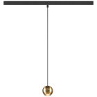 SLV - DYSKO, suspension pour rail 48 V, DALI, long. 200 cm, 2700 K, 36°, noir / or