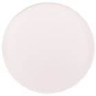 SLV - NUMINOS® L, Diffuseur prismatique