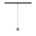 SLV - DYSKO, suspension pour rail 48 V, DALI, long. 200 cm, 2700 K, 36°, noir / or