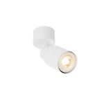 SLV - PURI 2.0 Tube, applique et plafonnier, intérieur, simple, 6W, GU10, blanc