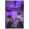 Vignette Photo produit ambiance 4