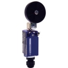Telemecanique Sensors France - XCKD ATEX - ID Position - levier plastique - 1NO+2NC - brusque - M16
