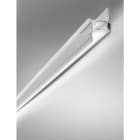 Novalux - CARTOON, P-40 : LINEAR OPAL 2M