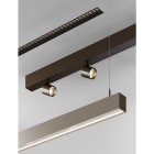 Novalux - HERO : PROFIL LED LINEAIRE PLAFOND/SUSPENSION/ENCASTRE, 2 SPOTS 34° 2X13W 2700K