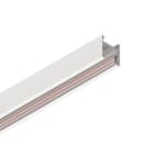 Novalux - T-48 : RAIL 48V PLAFOND/SUSPENSION 2M 2P+DALI NOIR
