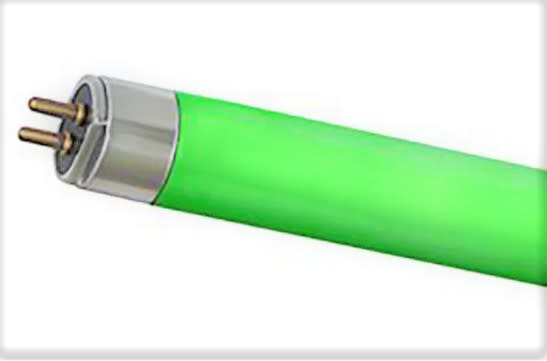 Aurora - TF - 14W T5 D16 G5 vert