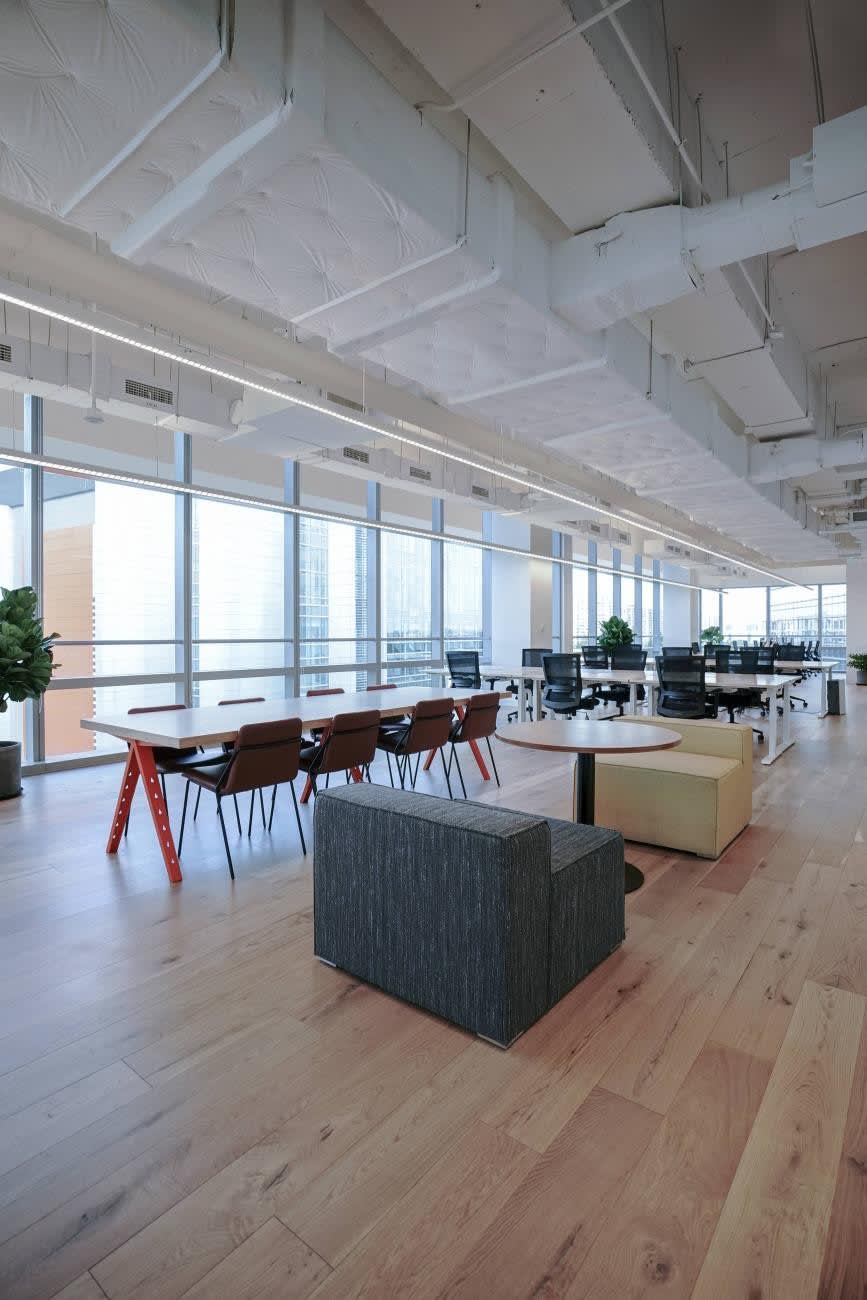 Indigo Lighting - CABLE D'ALIMENTATION DALI 200cm + BASE Noir