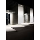 Indigo Lighting - RAYPRO 50 A 50W 3000K 5650Lm IP67 Anthracite