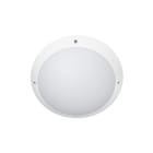 Indigo Lighting - TIMY EVO 15-18-22W 110° IP66 Blanc mat