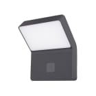 Indigo Lighting - LUXI 175 SENSOR 9W 1260Lm 3000K IP54 Anthracite