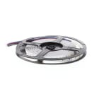 Indigo Lighting - ST125 19,2W/m L:5m 24VDC RGB+W