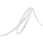 Indigo Lighting - ST150 4,8W/m L:5m 24VDC 3000K