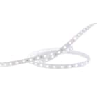 Indigo Lighting - ST159 14,4W/m L:5m 24VDC 6000K IP67