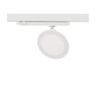 Indigo Lighting - HELLO 1 D 10W 1300Lm 3000K 100° DIM Noir mat