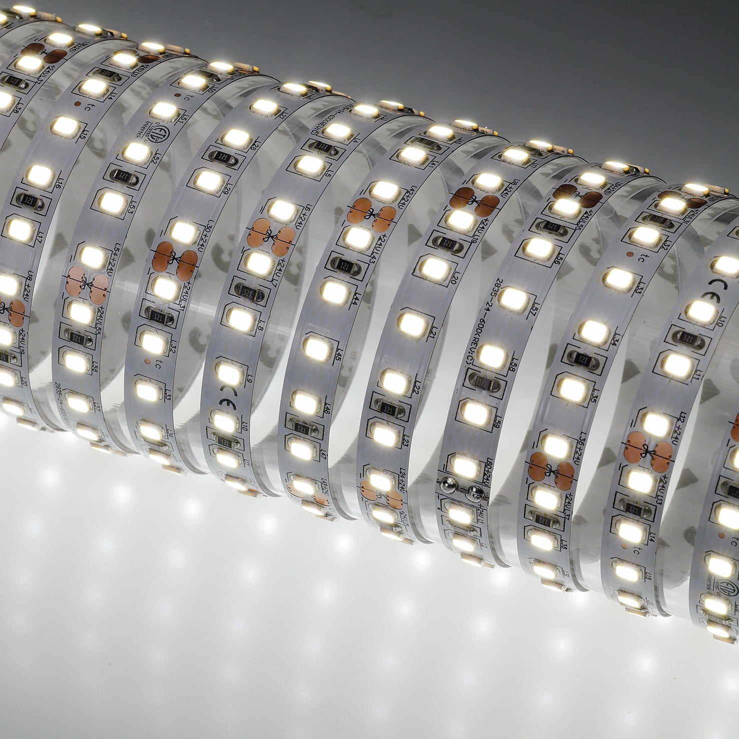 Indigo Lighting - Bandeau LED 5m 10W/m 1800lm/m 6000K CRI80 120ø IP20 24Vdc CLIII