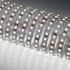 Indigo Lighting - Bandeau LED 5m 10W/m 1750lm/m 4000K CRI80 120ø IP20 24Vdc CLIII