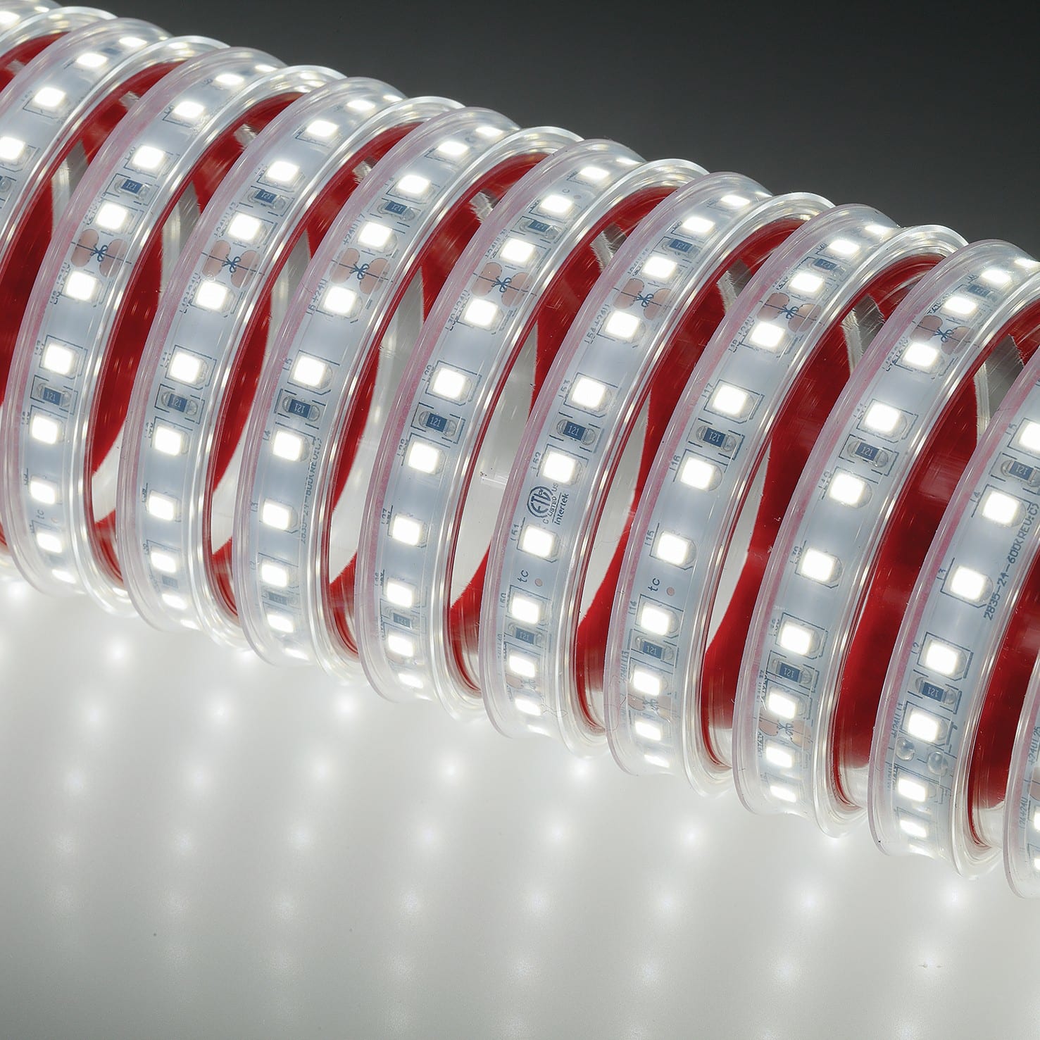 Indigo Lighting - Bandeau LED 5m 10W/m 1600lm/m 3000K CRI80 120ø IP65 24Vdc CLIII