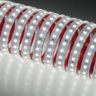 Indigo Lighting - Bandeau LED 5m 10W/m 1600lm/m 3000K CRI80 120ø IP65 24Vdc CLIII